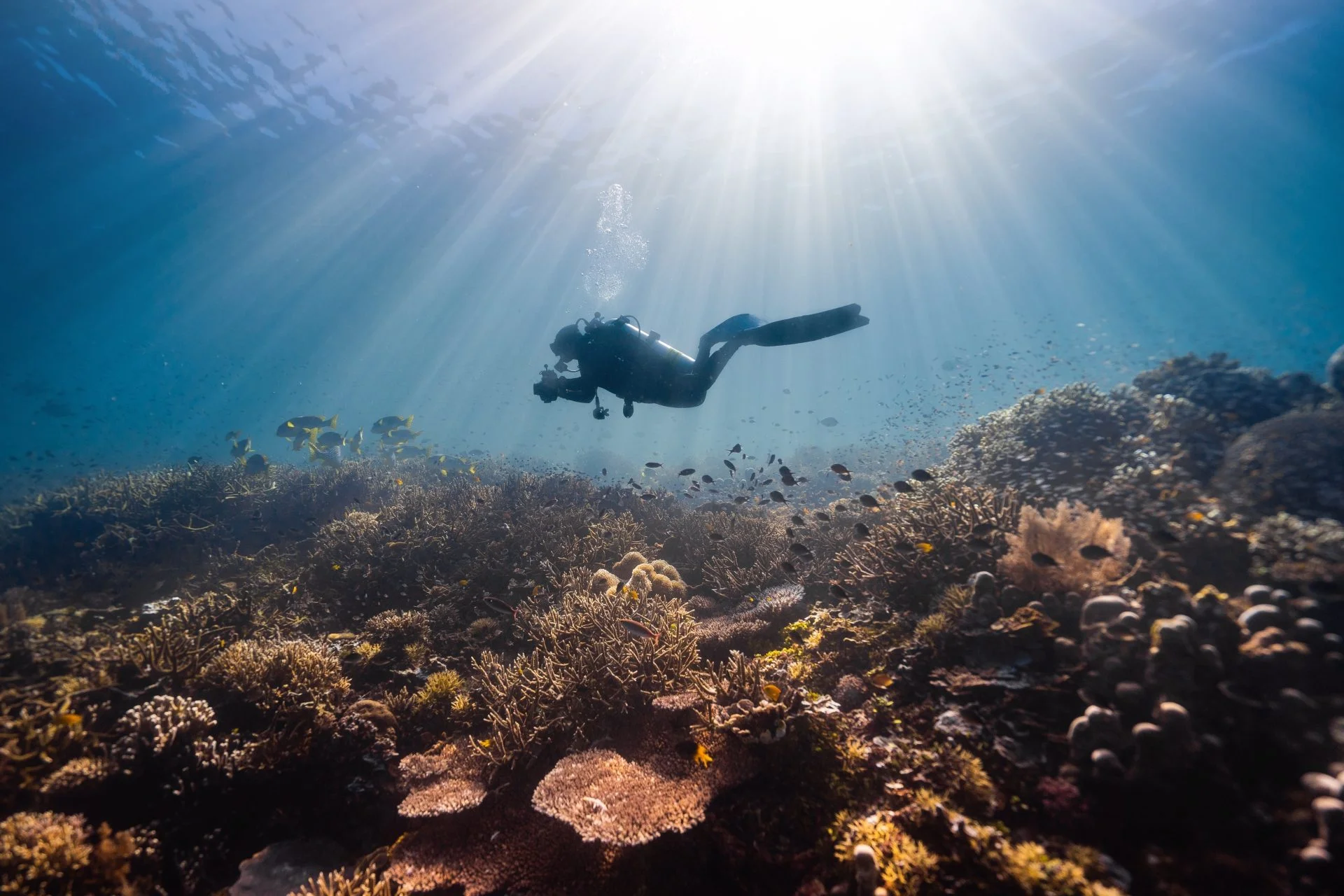Water Sports in Kefalonia Scuba Diving